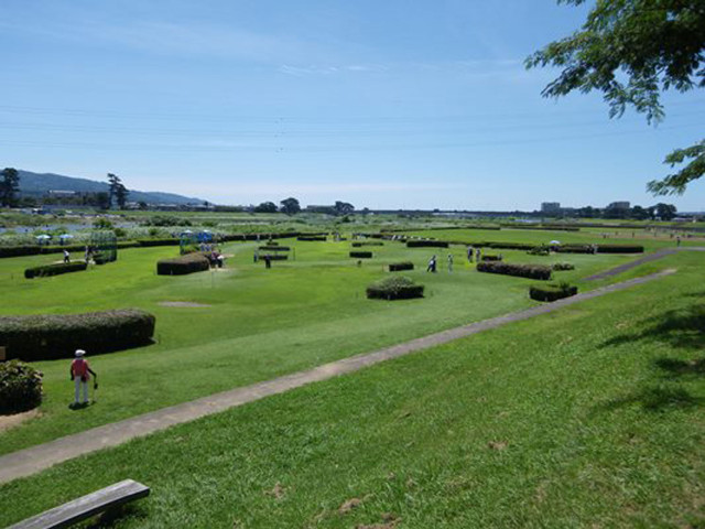 開成水辺スポーツ公園